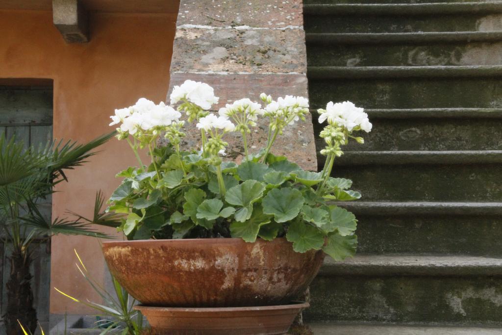 Borgo Archinto Lägenhet Robecco sul Naviglio Exteriör bild