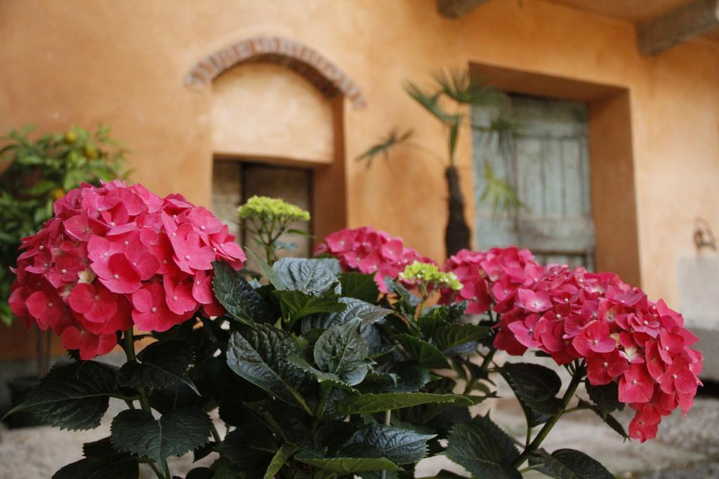 Borgo Archinto Lägenhet Robecco sul Naviglio Exteriör bild